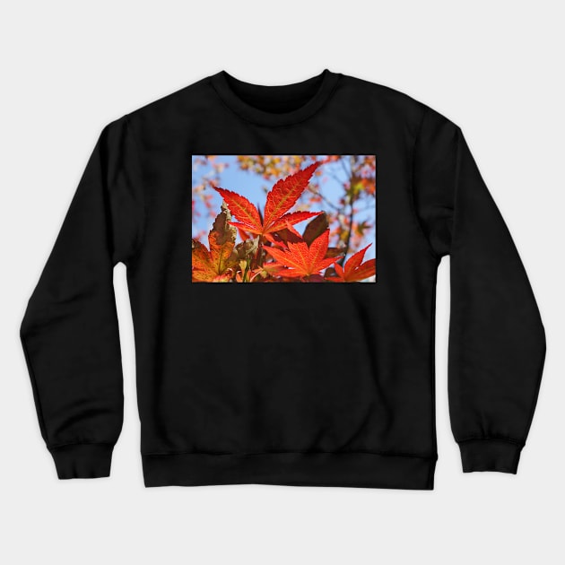 Red Maple Leaves Crewneck Sweatshirt by mariola5